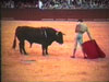 To understand Spain, one must understand the spectacle of the bullfight -- la fiesta brava. Explore the history of bullfighting, as actual bullfighting footage is used to explain each step of the ritual.