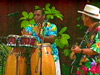 This exciting, interactive program features a live student audience, and introduces students to the rhythms and musical styles of the Caribbean area.  The focus includes Soca, Calypso, and Reggae.  In addition, students will learn how steel drums are made.